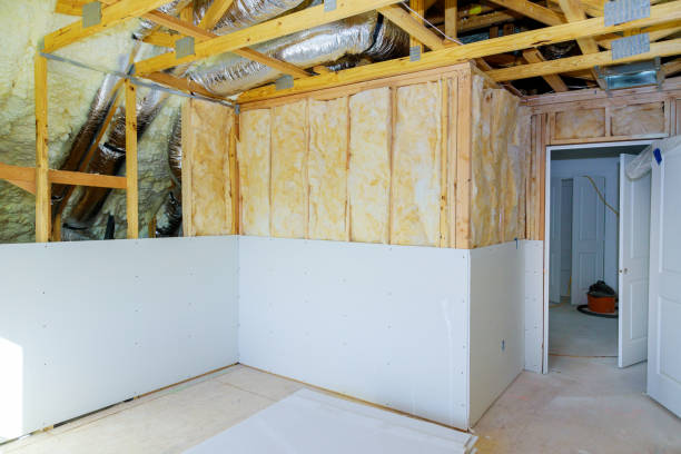 Best Cellulose Insulation in Avenue B And C, AZ