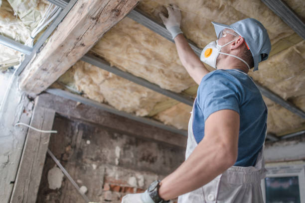 Professional Insulation Contractor in Avenue B And C, AZ