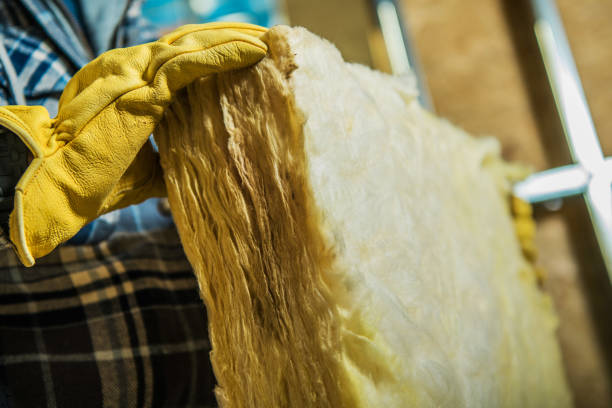 Best Insulation Maintenance and Repair in Avenue B And C, AZ