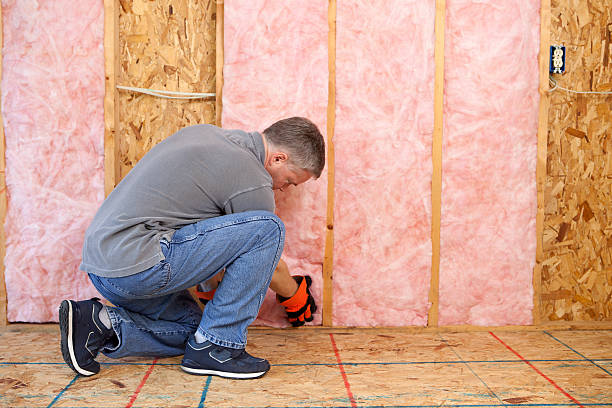 Best Spray Foam Insulation in Avenue B And C, AZ