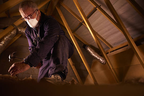 Best Blown-in Insulation in Avenue B And C, AZ
